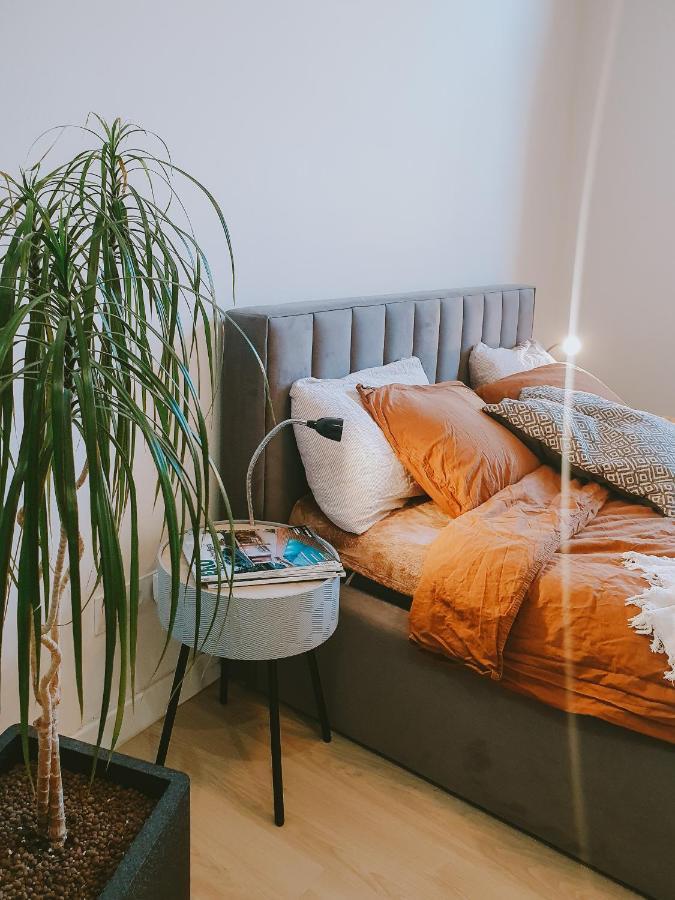 Priestranny Apartman V Centre Košice Eksteriør billede